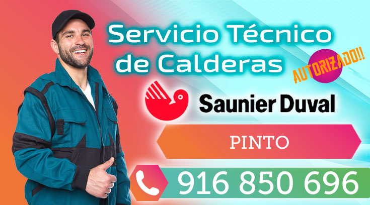 Servicio tecnico Saunier Duval Pinto