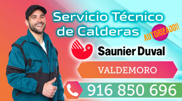 Servicio tecnico Saunier Duval Valdemoro