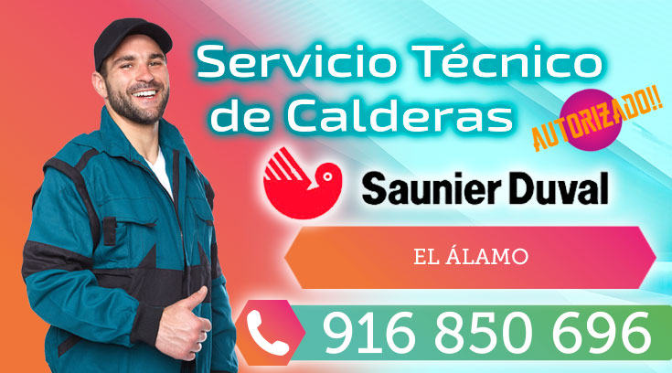 Servicio tecnico Saunier Duval El Alamo