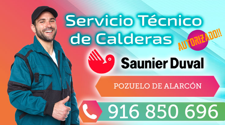 Servicio tecnico Saunier Duval Pozuelo de Alarcon