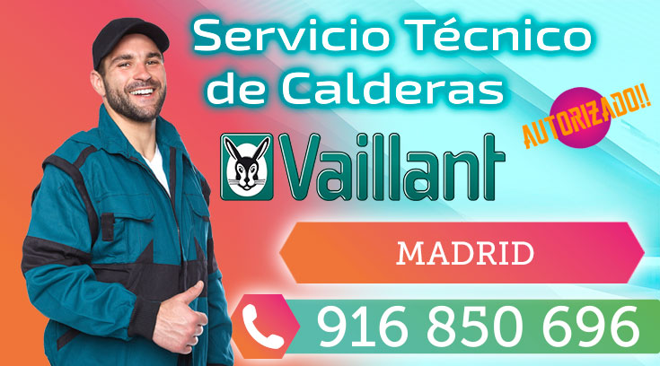 Servicio tecnico calderas Vaillant Madrid